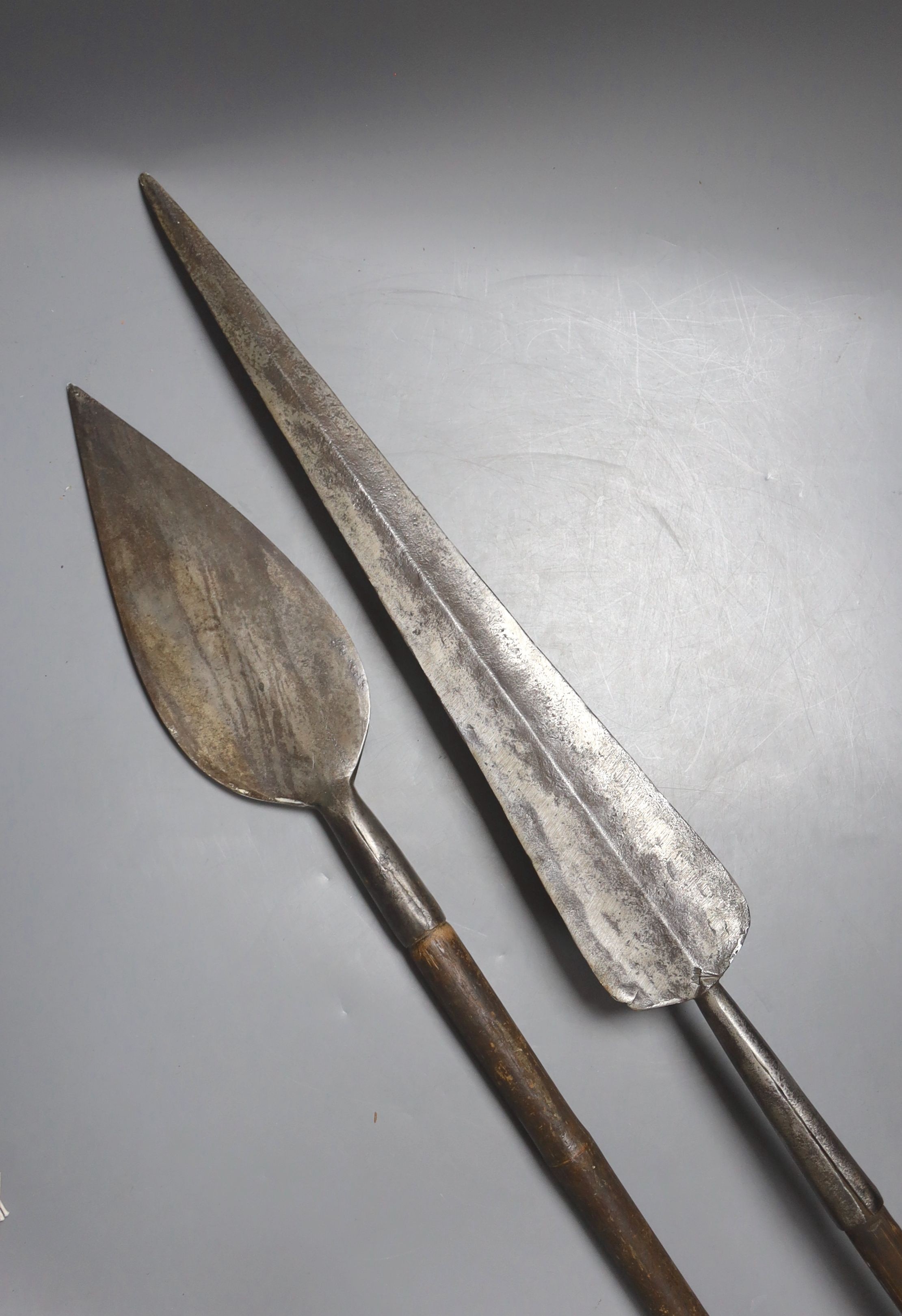 Two East Africa, Transvaal (Zululand) spears, 236cm